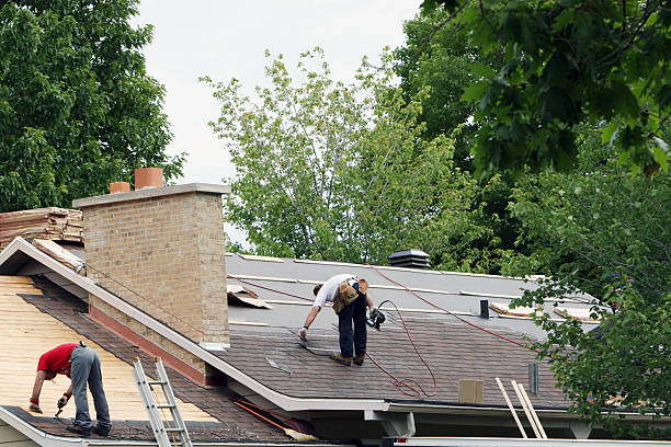 Best Roof Gutter Cleaning  in St Joseph, IL