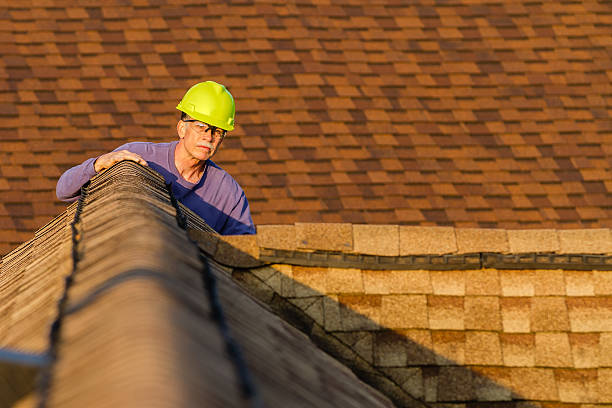Best Roof Leak Repair  in St Joseph, IL