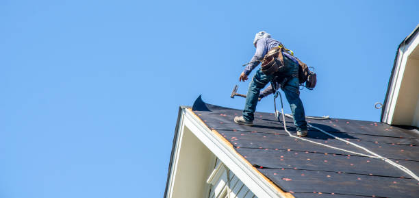Roof Waterproofing Services in St Joseph, IL